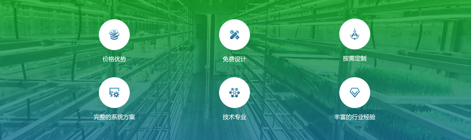 数字优势