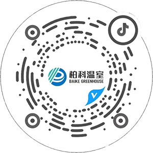 网站二维码