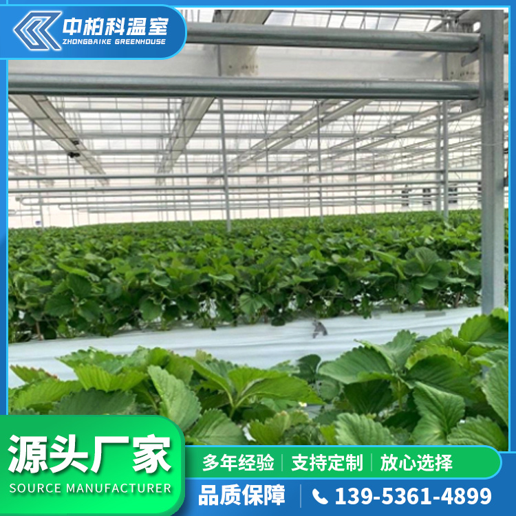 连栋薄膜温室